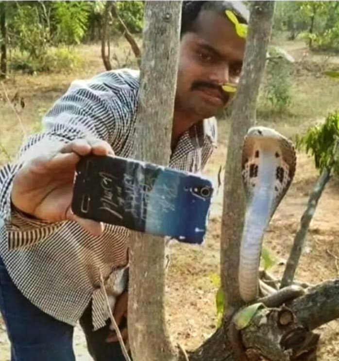a man is cutting a tree with a chainsaw